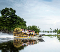 Swamp Tour dans le Sud-Est des USA Swamp Tour dans le Sud-Est des USA
